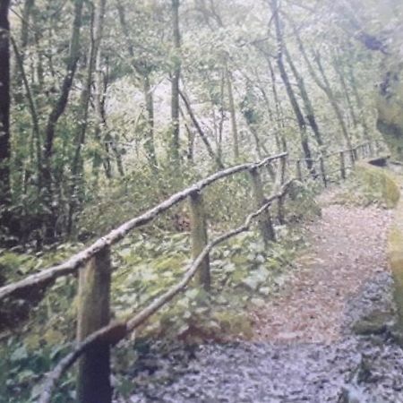 Апартаменти Brenas Garden C9 Бренья-Баха Екстер'єр фото