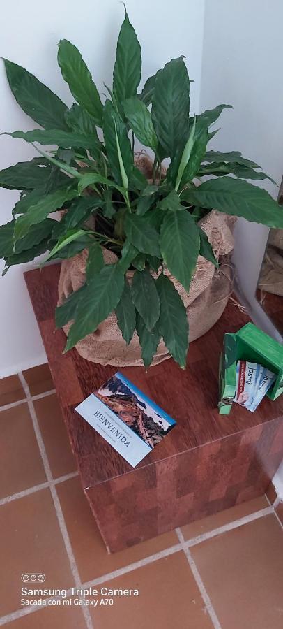 Апартаменти Brenas Garden C9 Бренья-Баха Екстер'єр фото